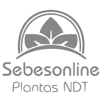 Logotipo-Plantas-ndt-01